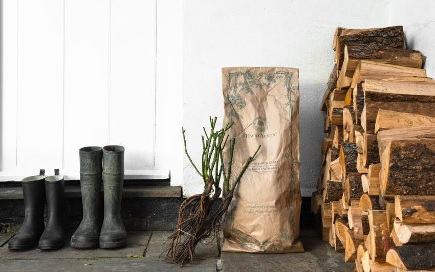 Slow Living und die Verbindung zu Cortisol