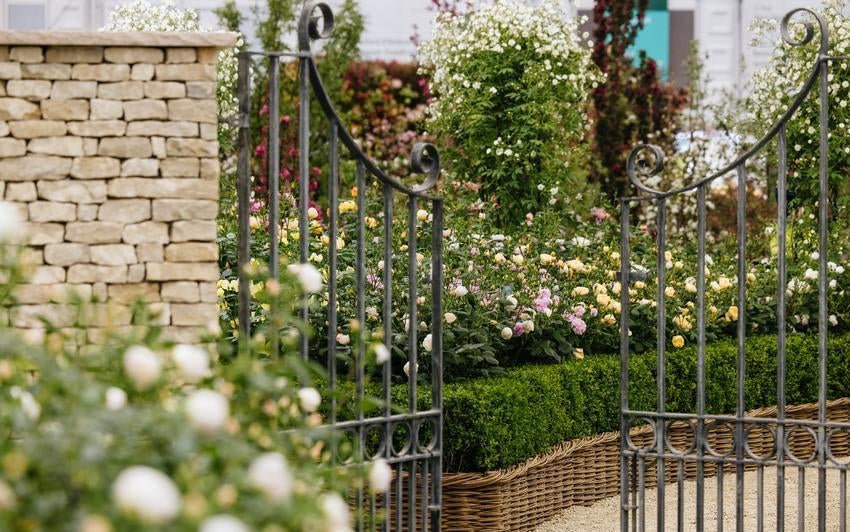 Der Cotswold-Garten auf der Chelsea Flower Show