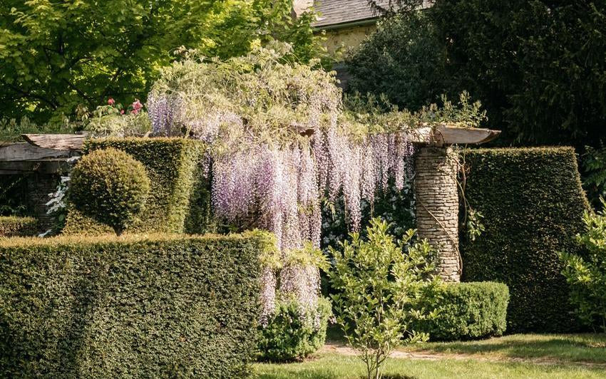 Highgrove Gardens: Ein Garten mit Ziel und Anmut