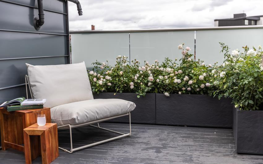 Susan Williams-Ellis in a container on a balcony