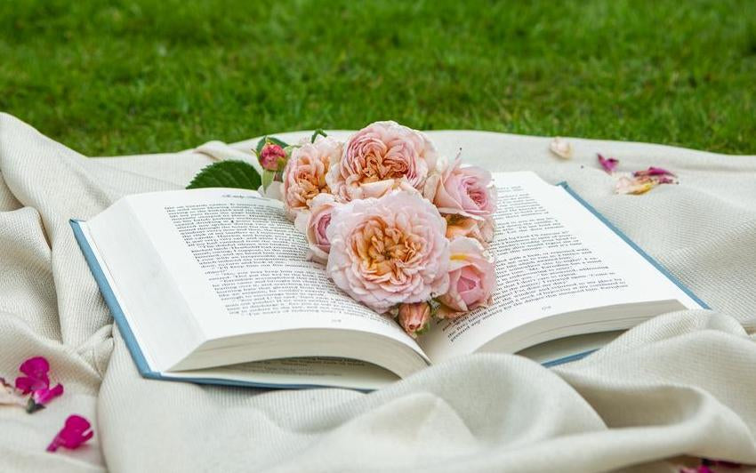 Ein Liebesbrief an die Rosen: Die Geschichten hinter den Blüten