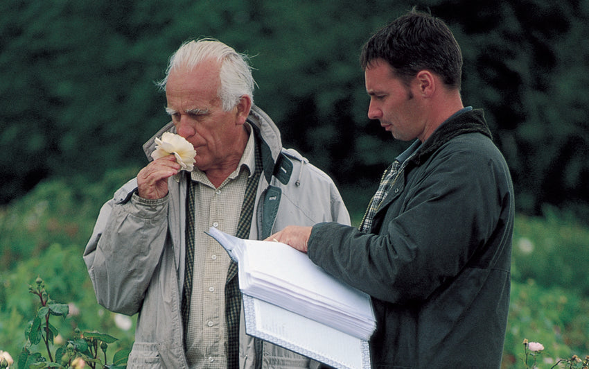 David Austin smelling a rose