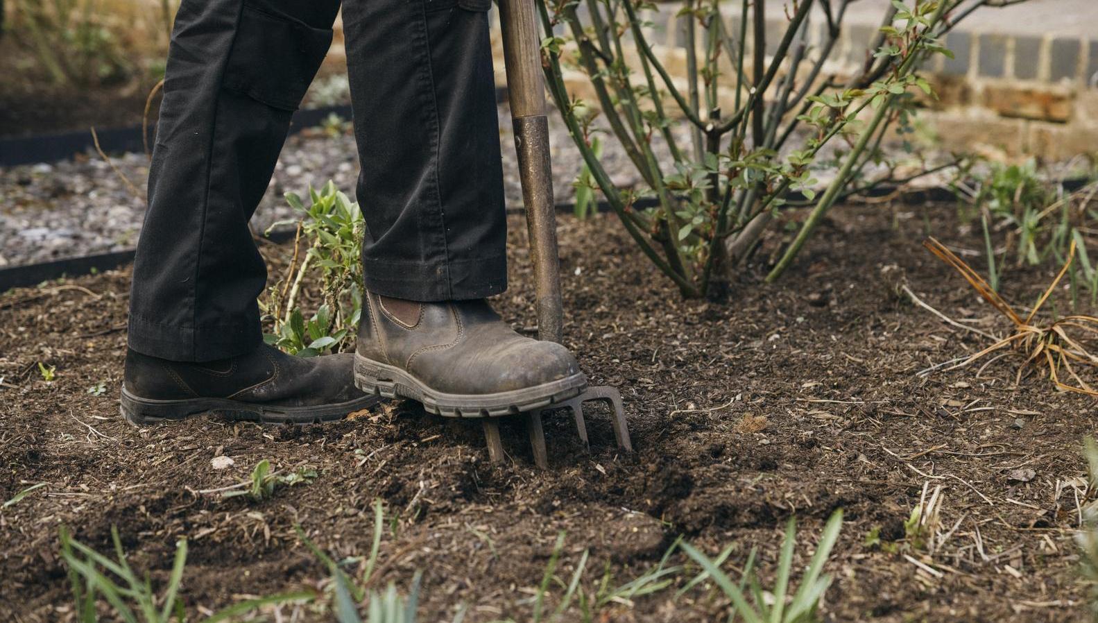 Person's boot on top of a gardening fork in the ground