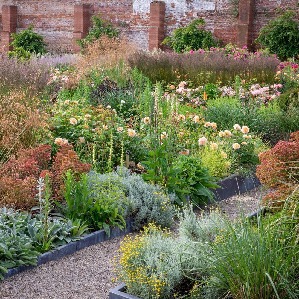 Garden shot of roses and companion grasses in Wynyard Hall