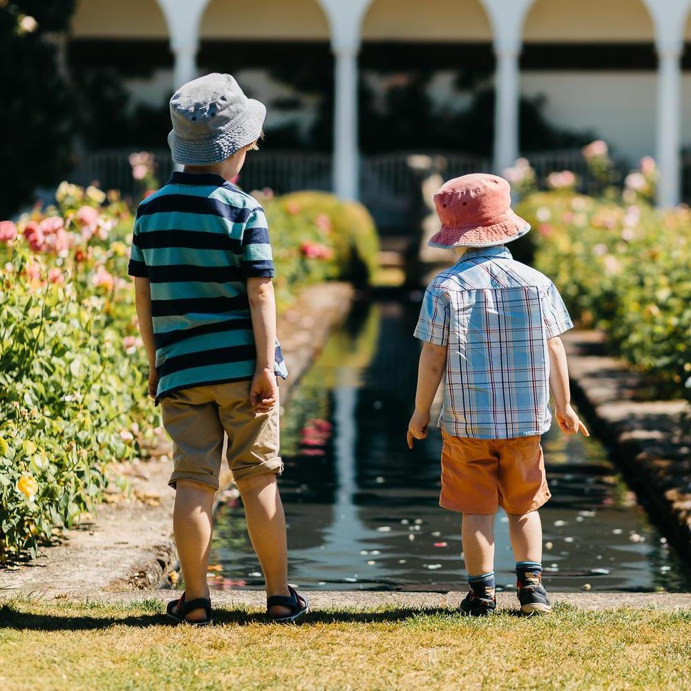 Two children looking out at a rose garden at David Austin