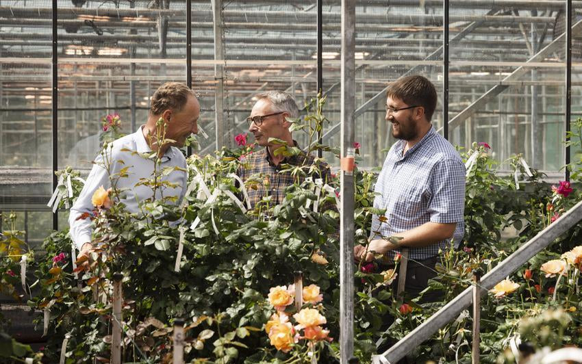 David J. C. Austin, Carl Bennet rose breeder at David Austin