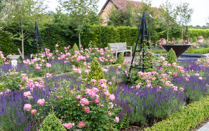 Verwandeln Sie Ihren Garten in ein Englisches Cottage-Paradies mit Rosen 