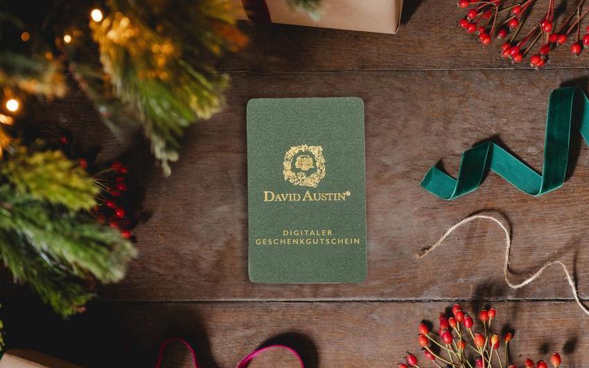 Die perfekten Geschenke für Gärtner in diesem Weihnachten