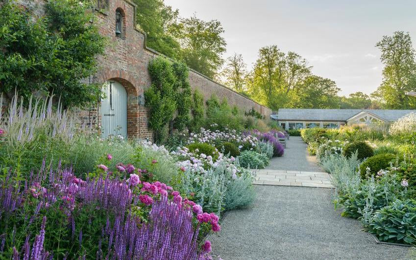 Farbe im Garten: Schöne Kombinationen gestalt