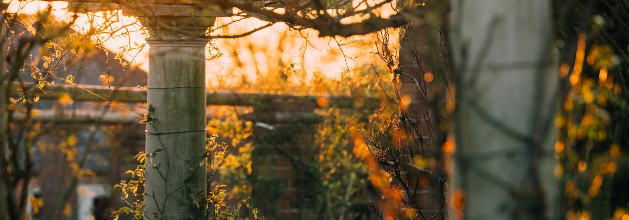 AM_winter_rose_gardens