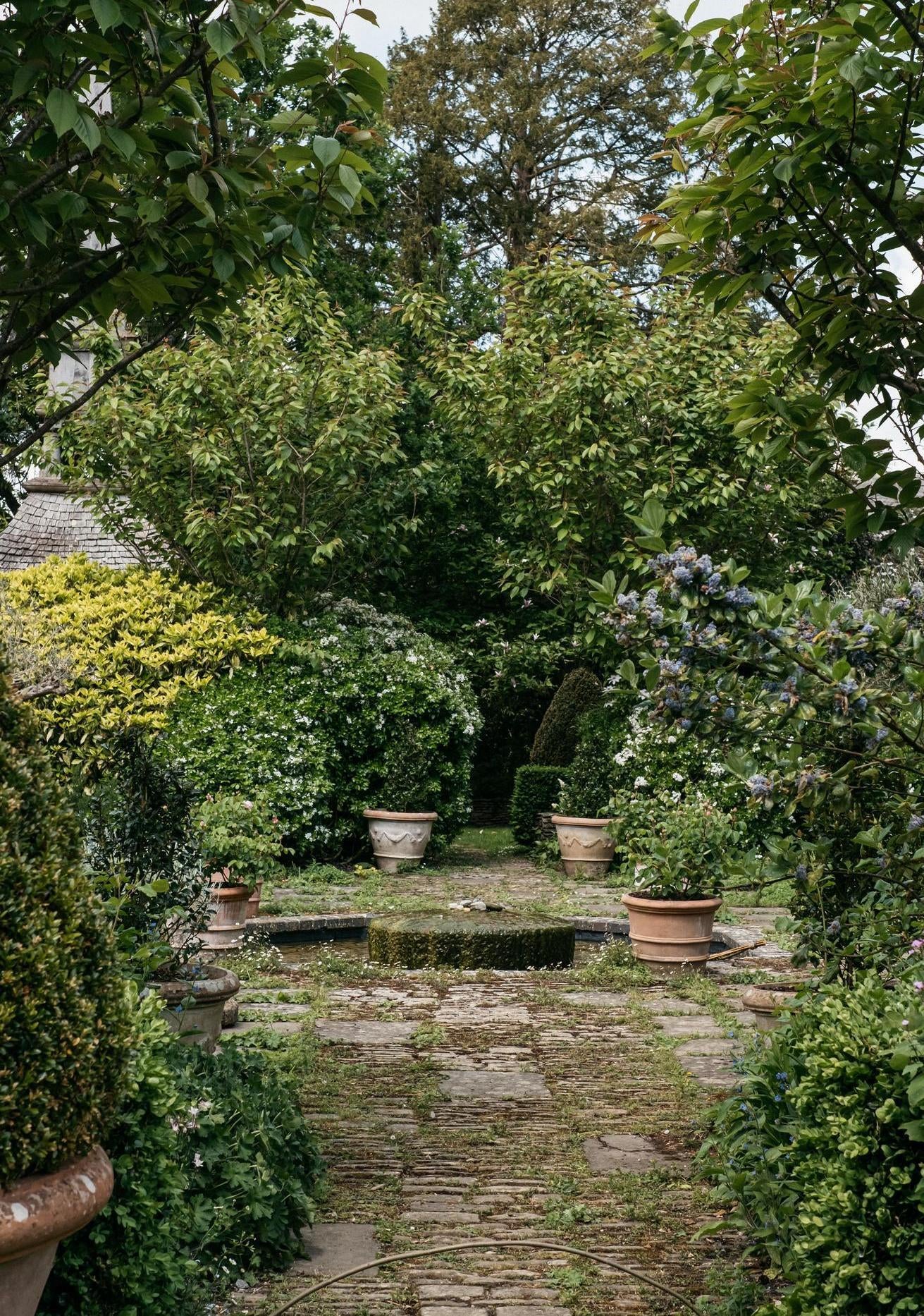 Patio garden shot at highgove